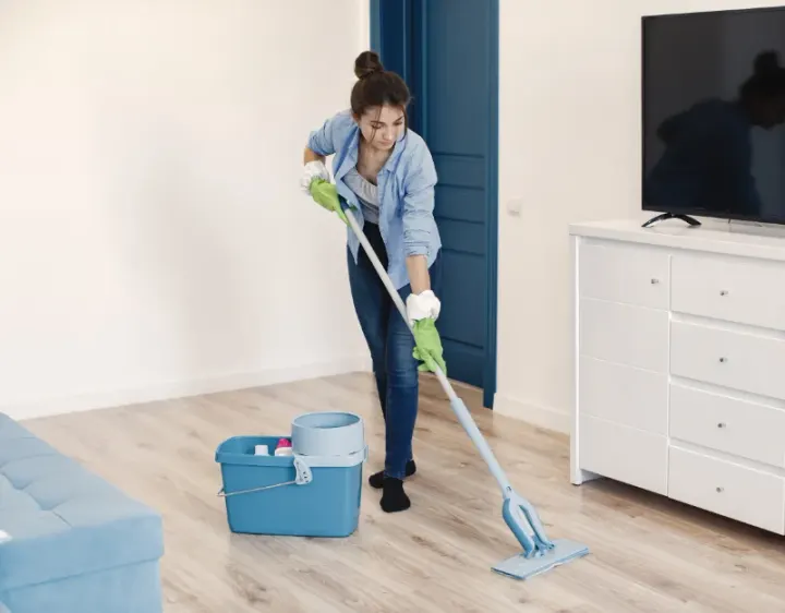 Femme de ménage Pierrefort